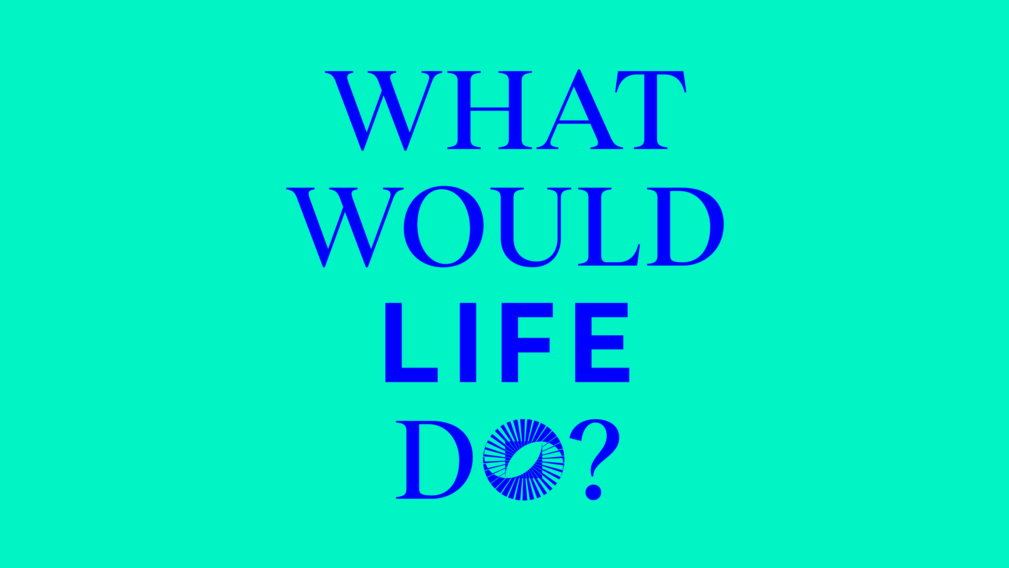 240816_Socialtecture_WhatwouldLifedo